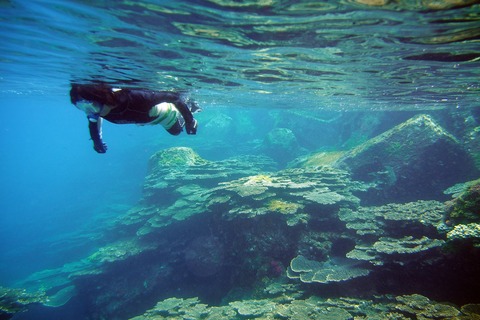 IMG_20170708_230931_061