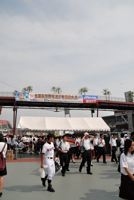 DSD_3233_926