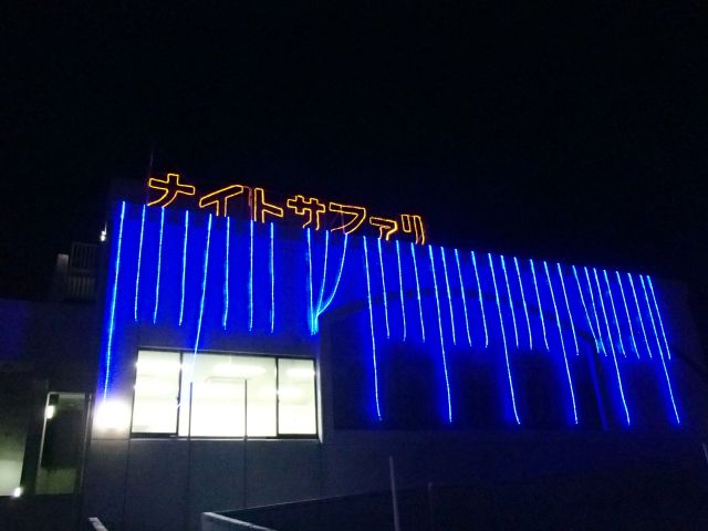 夏休みの思い出に夜の動物園はいかが フガドコ 夏休みの思い出に夜の動物園はいかが フガドコ