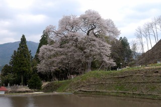9c3e2266.jpg