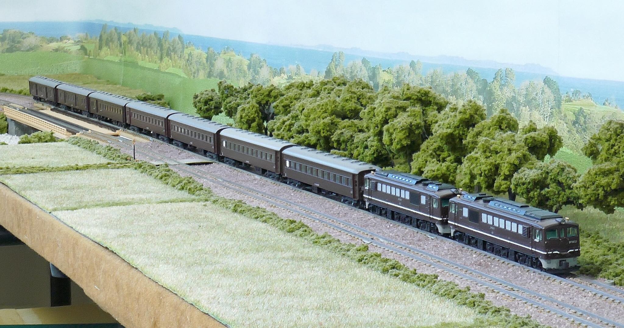 マイクロエースDF50(茶) 長野機関区 重連 : 鉄道情景草案