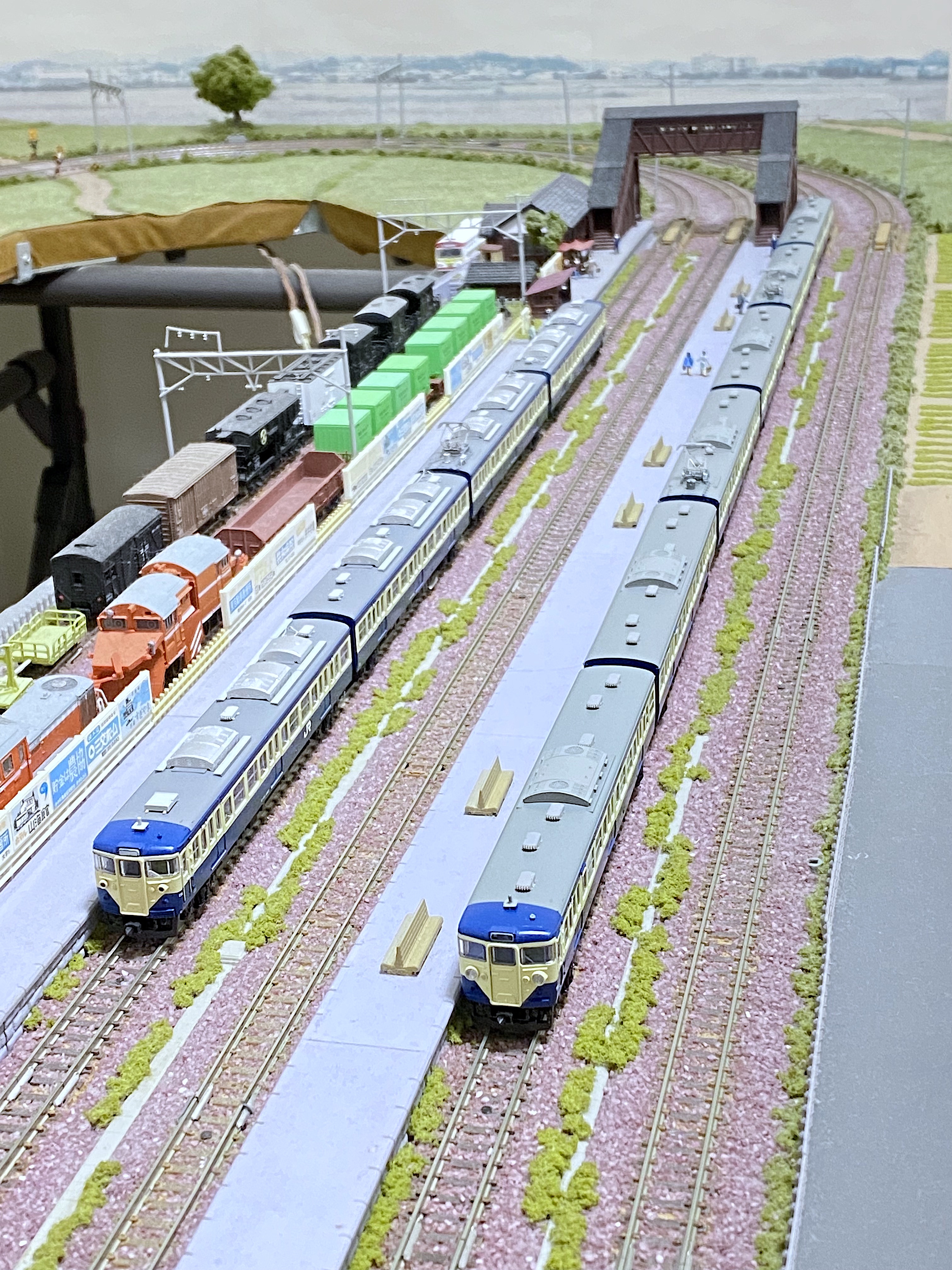 マイクロエース115系 スカ色113系塗装JAM限定品 : 鉄道情景草案