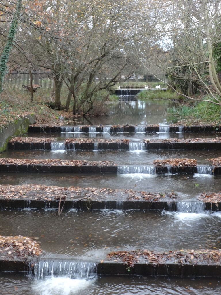 テディントンで飲茶とブッシ パーク サンタ遭遇のオマケ ト短調フーガな日々の記録