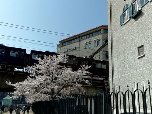 20180331_142745051.jpg