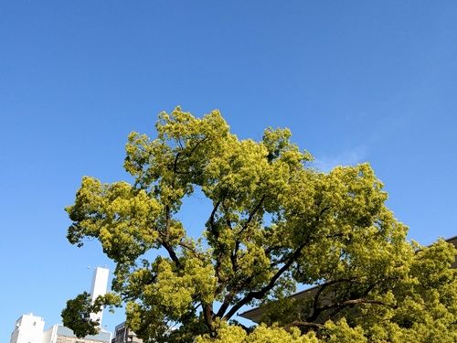 20180501_163955658.jpg