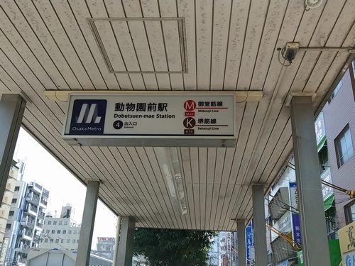 20180805_105537577.jpg