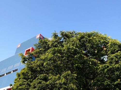 20180501_163903426.jpg