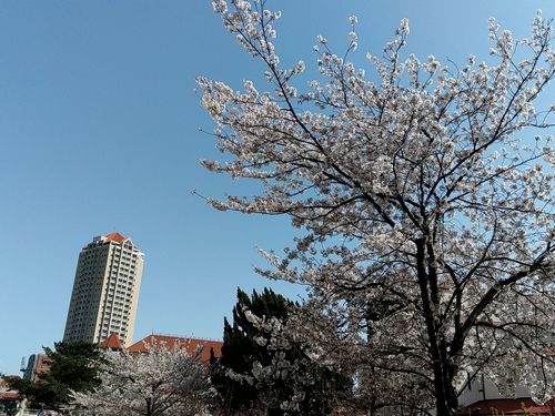 20180331_142020015.jpg