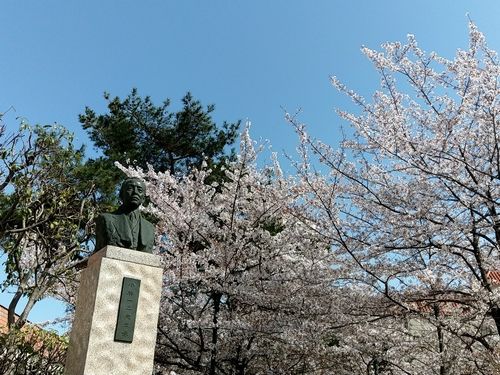 20180331_142117885.jpg