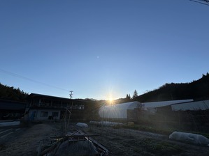 IMG_3971