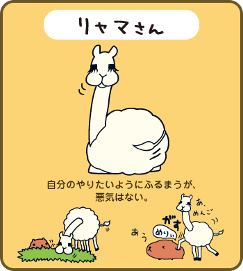 20181119-001