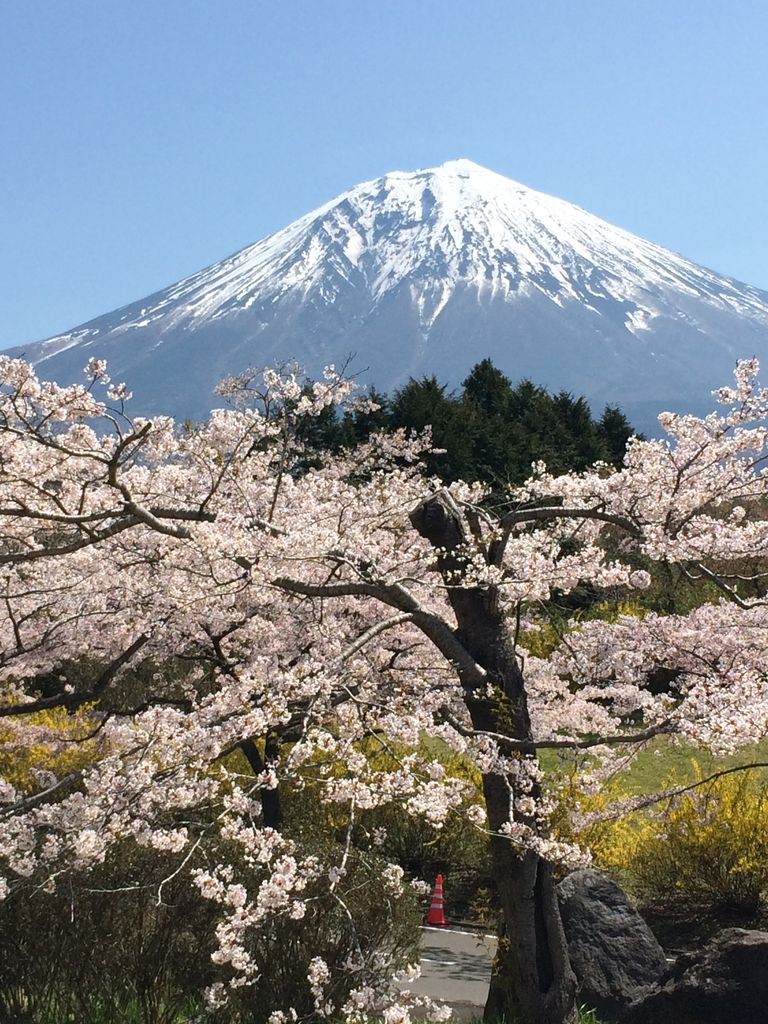 富士桜自然墓地公園 Japaneseclass Jp