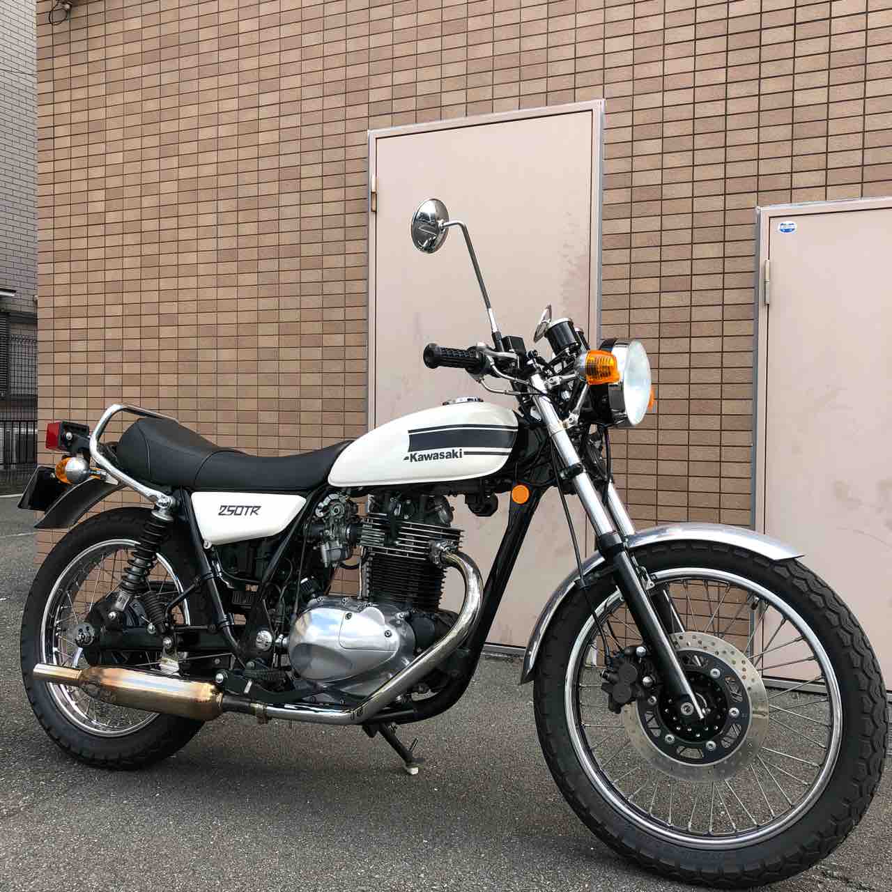 250TR サイドカバー マフラー サスペンション カスタム タイヤ