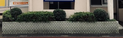 IMG_8289