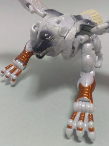 レビュー TF ビーストウォーズメタルス 勇猛の対決 シルバーボルト