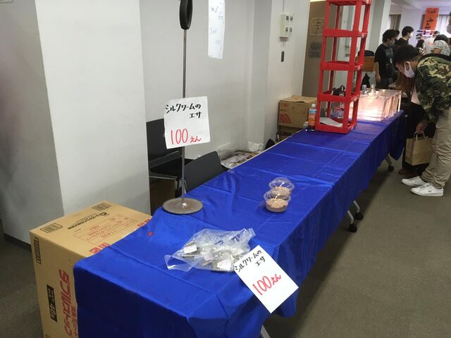九州爬虫類フェスと 夏の京都 その ペットショップふじやのブログ 九州爬虫類フェスと 夏の京都 その ペットショップふじやのブログ