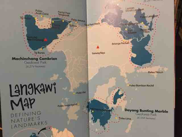 クリーパー最新号発売中 とアジアの怪鳥 黄金色の赤ちゃん ベンガル君に逢いに三たびリゾート地へ その1 ペットショップふじやのブログ