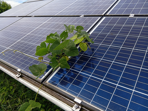 20250923No2-144115141