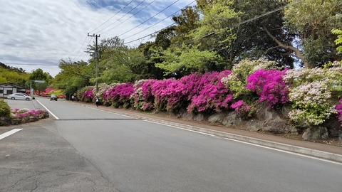 20210415DSC_0069