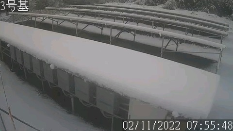 20220211_No3_07_55_1