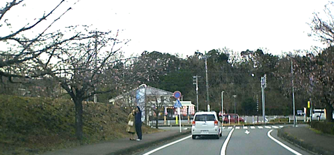 20200215kawazu