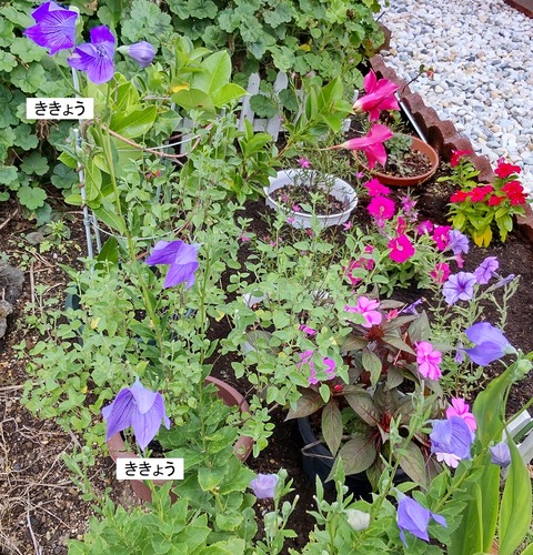 20210727164351380_COVER