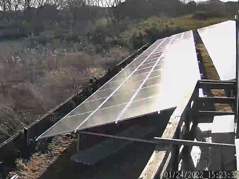 20220128_panel20220124_15_24