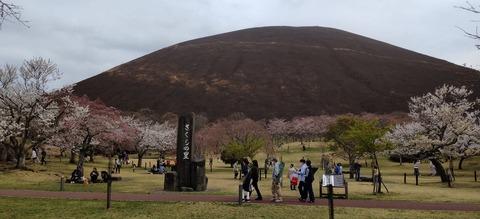 20220328DSC_0504