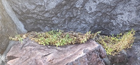 20210721172716489_COVER