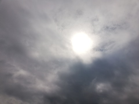 20190326_134411