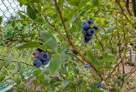 20210611133932771_COVER