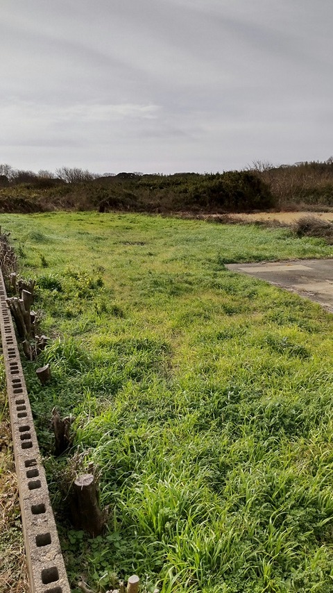 20211210_no6_132305832