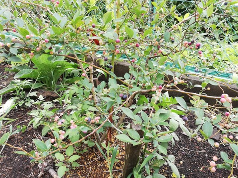 IMG_20180808_143410-1843x1382