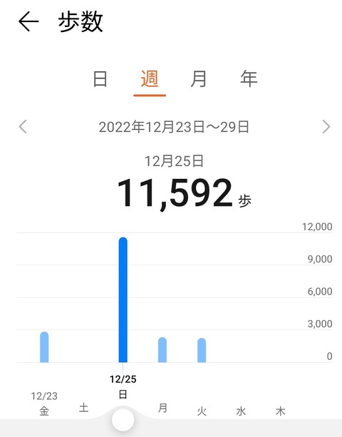 20221227_202347_hosuu