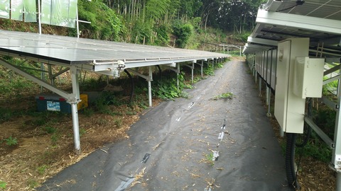 no1-20180619-DSC_2222