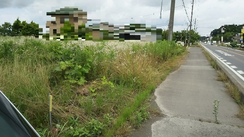 no5-20180618-DSC_2175