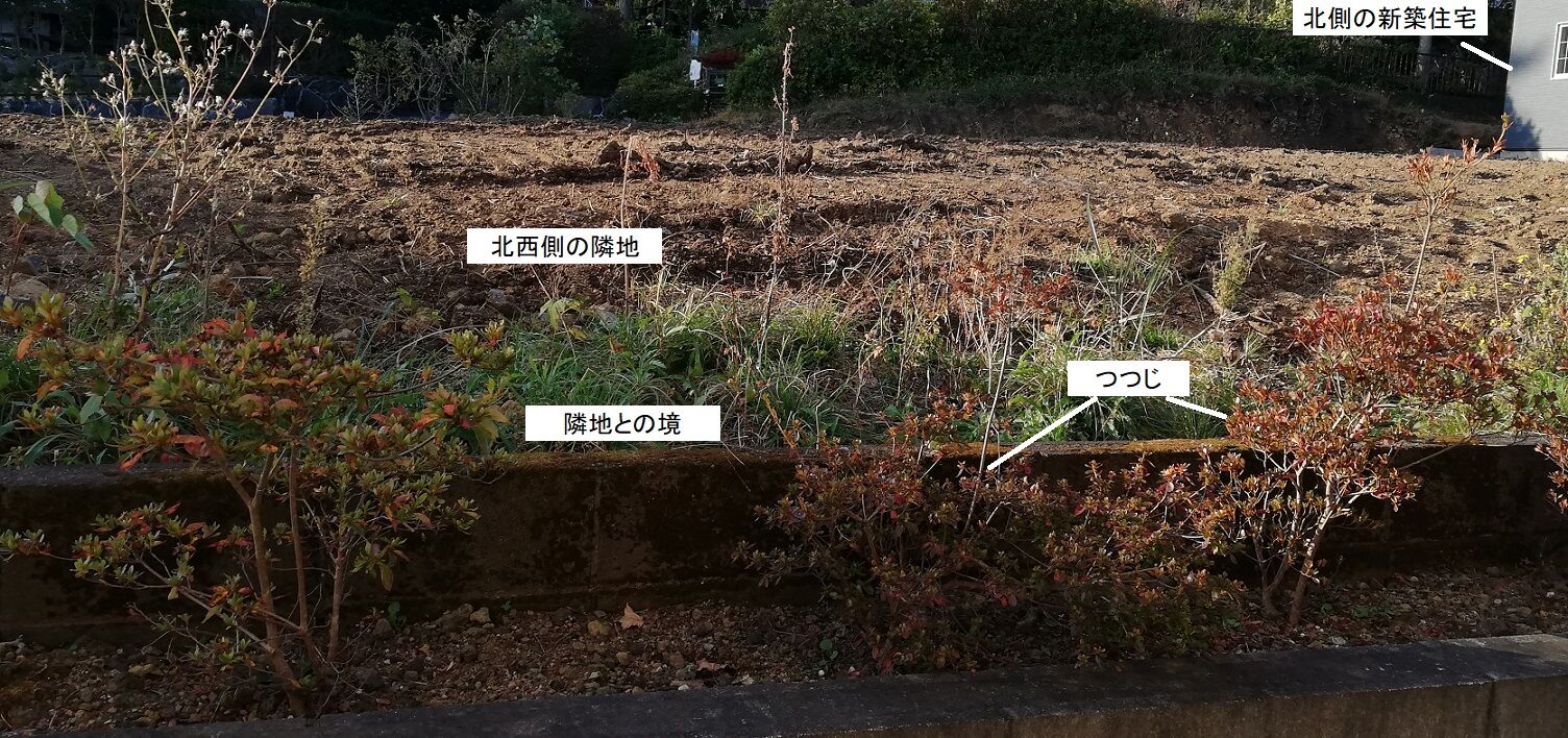 レッドロビンを植える 太陽光発電と伊豆高原のブログ