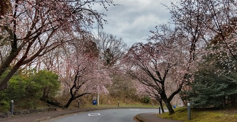 20220310eki143349628