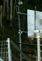 DSC_1430_crop_146x214