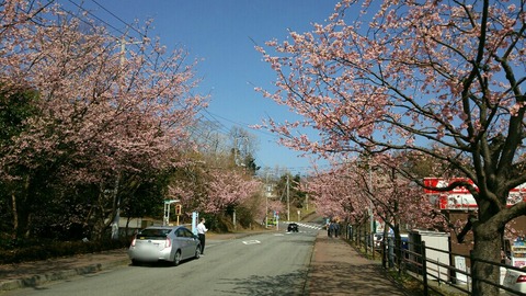 izu20180312_212131-1019x573
