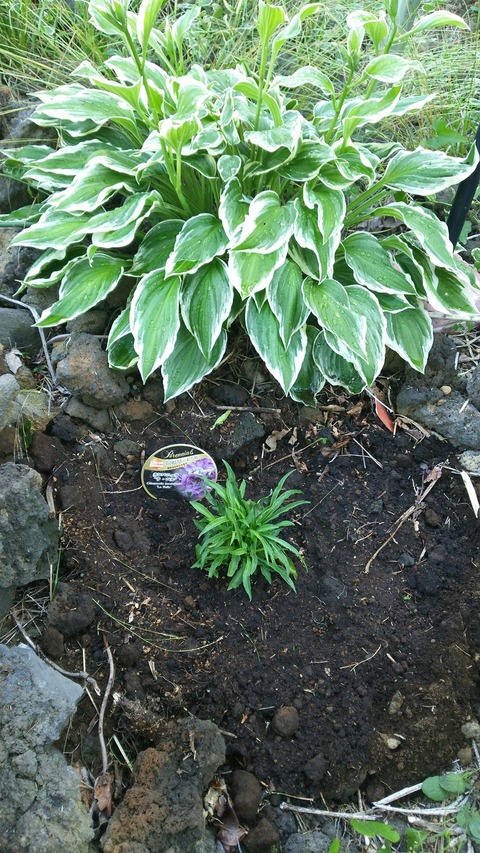 izu20180523-DSC_1928