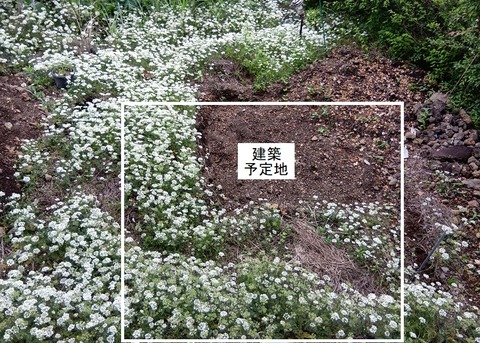 2506131516サンルーム予定地