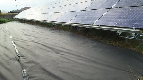 no2-20180619-DSC_2235