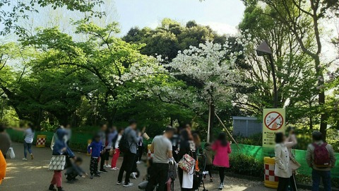 Point Blur_20180411_224251