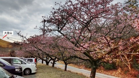 20220310sakuranosato140742436