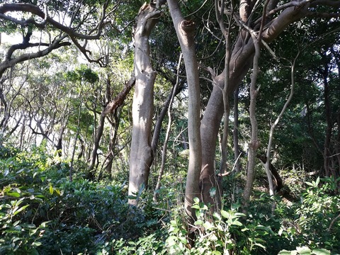 20220926pic_151014