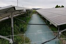 20210820no5_20201027