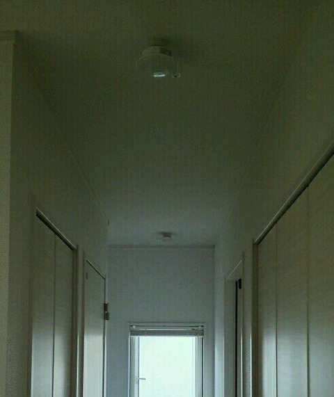 DSC_1465_crop_491x584