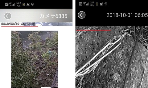 20181001-camera203347