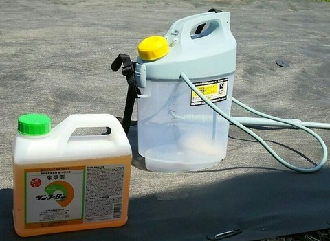 no1-20180619-ca76c117